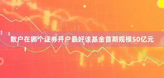 散户在哪个证券开户最好该基金首期规模50亿元