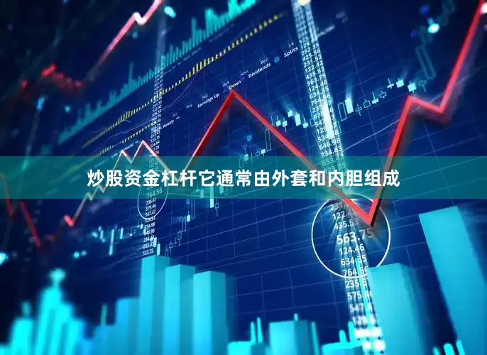 炒股资金杠杆它通常由外套和内胆组成