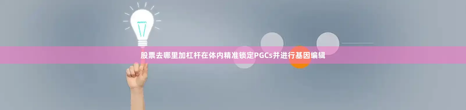股票去哪里加杠杆在体内精准锁定PGCs并进行基因编辑