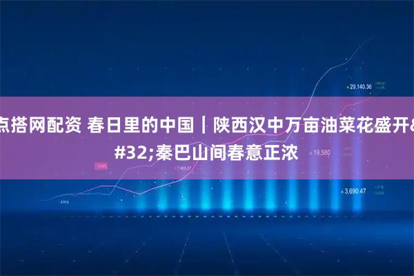 点搭网配资 春日里的中国|陕西汉中万亩油菜花盛开 秦巴山间春意正浓