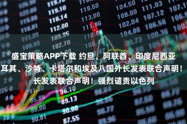 盛宝策略APP下载 约旦、阿联酋、印度尼西亚、巴基斯坦、土耳其、沙特、卡塔尔和埃及八国外长发表联合声明!强烈谴责以色列