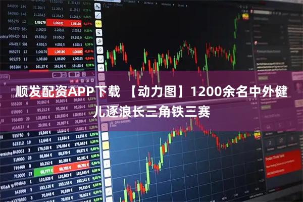 顺发配资APP下载 【动力图】1200余名中外健儿逐浪长三角铁三赛