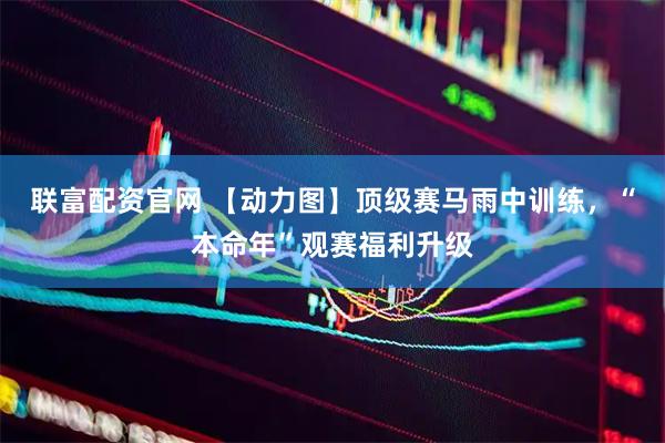 联富配资官网 【动力图】顶级赛马雨中训练，“本命年”观赛福利升级