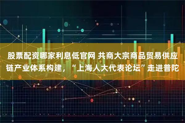 股票配资哪家利息低官网 共商大宗商品贸易供应链产业体系构建，“上海人大代表论坛”走进普陀
